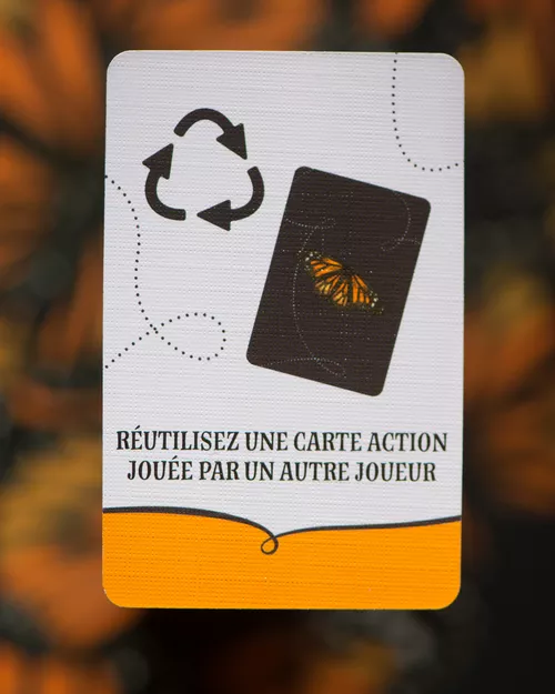 Test du jeu MARIPOSAS carte action 4
